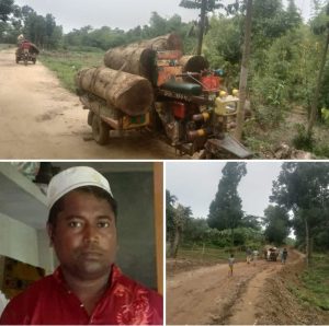 রামুর কচ্ছপিয়া বনবিটে কর্তনকৃত শতবর্ষী মাদার ট্রি জব্দ