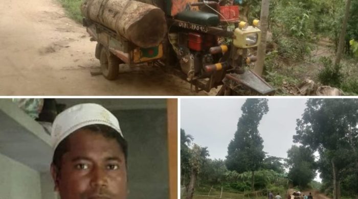 রামুর কচ্ছপিয়া বনবিটে কর্তনকৃত শতবর্ষী মাদার ট্রি জব্দ