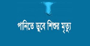 নকলায় পুকুরের পানিতে ডুবে কন্যা শিশুর মৃত্যু