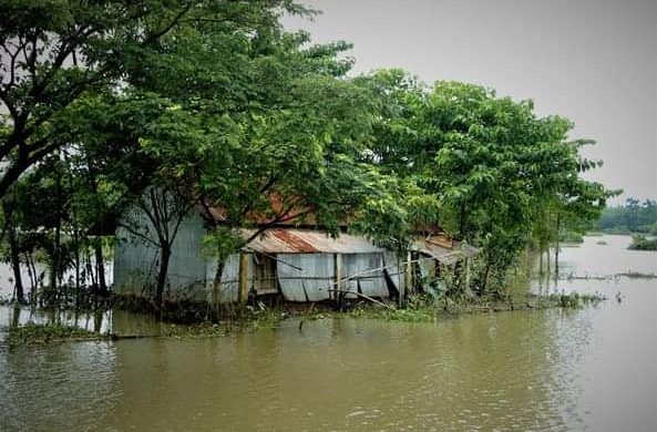 এবারে বন্যায় নোয়াখালীতে ১১ জনের মৃত্যু, পানিবন্দী ১৬ লাখ
