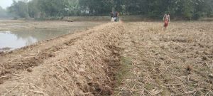 ঝিনাইগাতীতে জারুলতলা খালের উজানে বাঁধ
