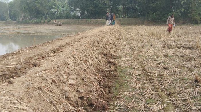ঝিনাইগাতীতে জারুলতলা খালের উজানে বাঁধ