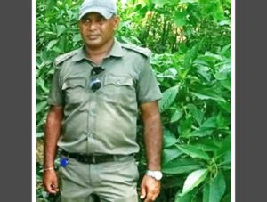 শেরপুরের শ্রীবরদী রেঞ্জের বনায়নের ১০ কোটি টাকার গরমিল